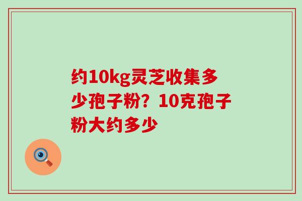 约10kg灵芝收集多少孢子粉？10克孢子粉大约多少