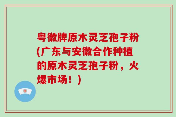 粤徽牌原木灵芝孢子粉(广东与安徽合作种植的原木灵芝孢子粉，火爆市场！)