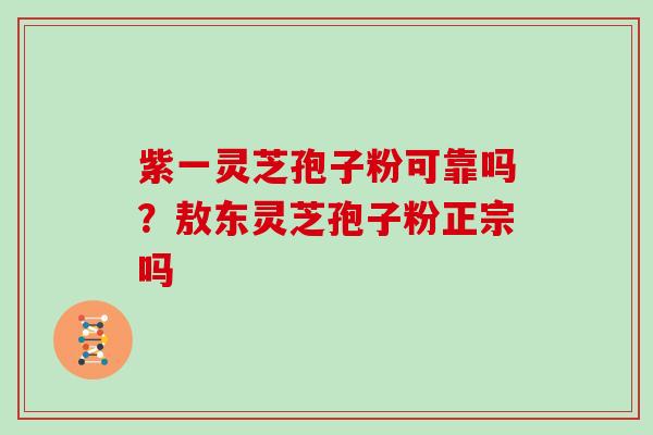 紫一灵芝孢子粉可靠吗？敖东灵芝孢子粉正宗吗