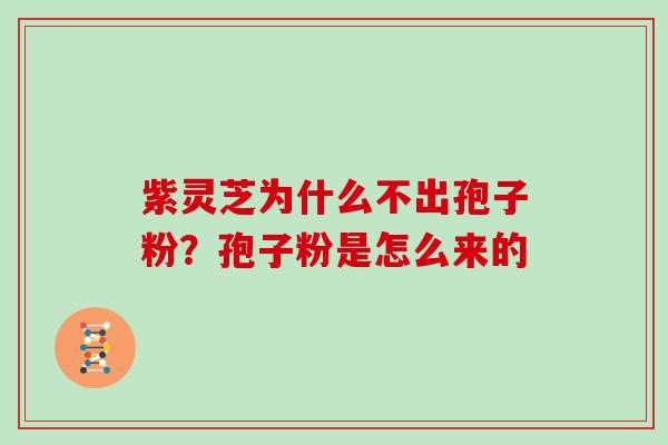 紫灵芝为什么不出孢子粉？孢子粉是怎么来的