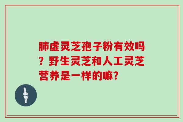 虚灵芝孢子粉有效吗？野生灵芝和人工灵芝营养是一样的嘛？