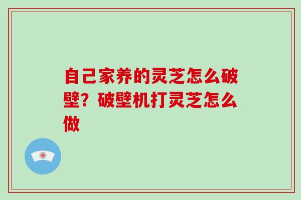 自己家养的灵芝怎么破壁？破壁机打灵芝怎么做