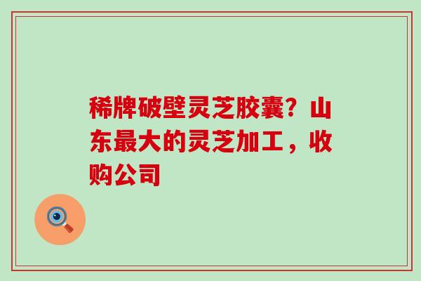 稀牌破壁灵芝胶囊？山东大的灵芝加工，收购公司