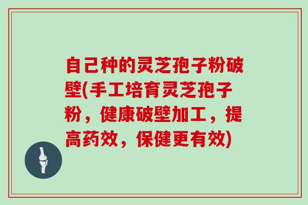 自己种的灵芝孢子粉破壁(手工培育灵芝孢子粉，健康破壁加工，提高，保健更有效)