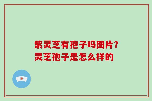 紫灵芝有孢子吗图片？灵芝孢子是怎么样的