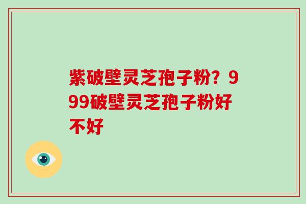 紫破壁灵芝孢子粉？999破壁灵芝孢子粉好不好