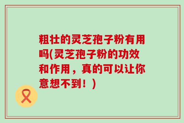 粗壮的灵芝孢子粉有用吗(灵芝孢子粉的功效和作用，真的可以让你意想不到！)