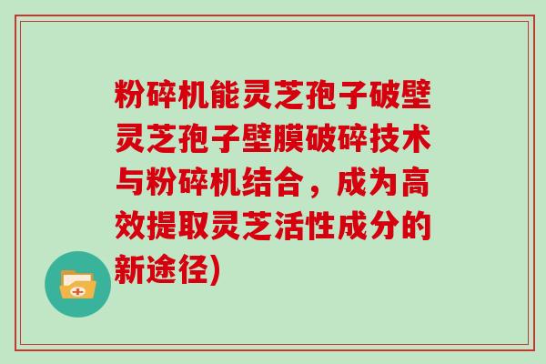 粉碎机能灵芝孢子破壁灵芝孢子壁膜破碎技术与粉碎机结合，成为高效提取灵芝活性成分的新途径)