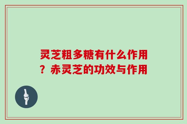 灵芝粗多糖有什么作用？赤灵芝的功效与作用