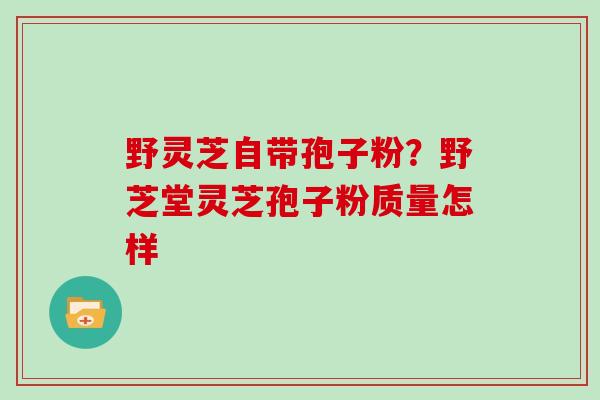 野灵芝自带孢子粉？野芝堂灵芝孢子粉质量怎样