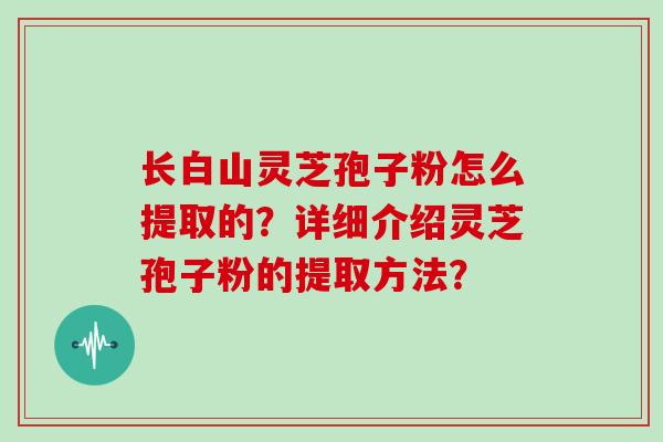 长白山灵芝孢子粉怎么提取的？详细介绍灵芝孢子粉的提取方法？