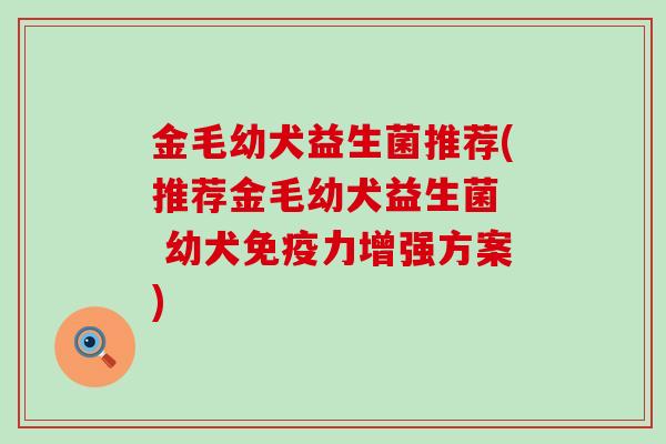 金毛幼犬益生菌推荐(推荐金毛幼犬益生菌  幼犬免疫力增强方案)