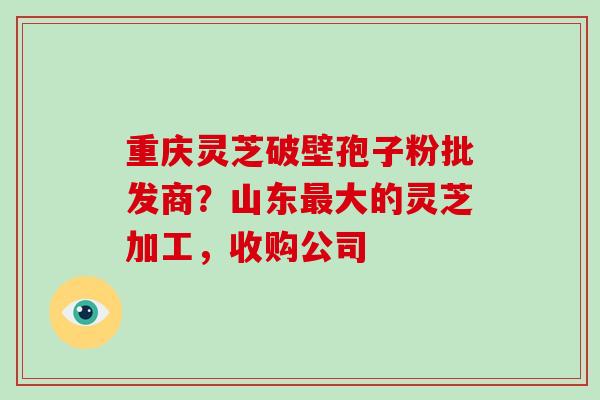 重庆灵芝破壁孢子粉批发商？山东大的灵芝加工，收购公司