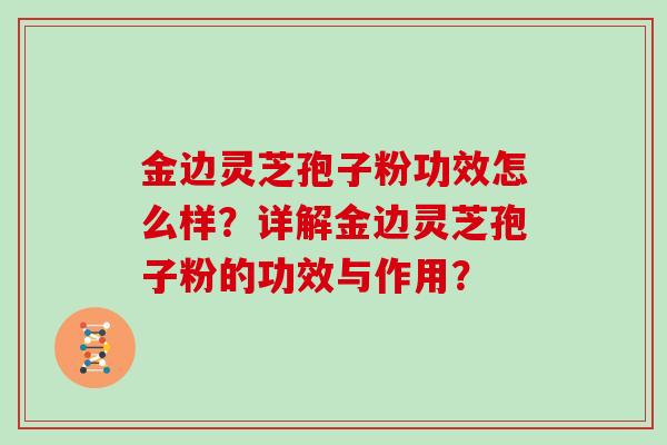 金边灵芝孢子粉功效怎么样？详解金边灵芝孢子粉的功效与作用？