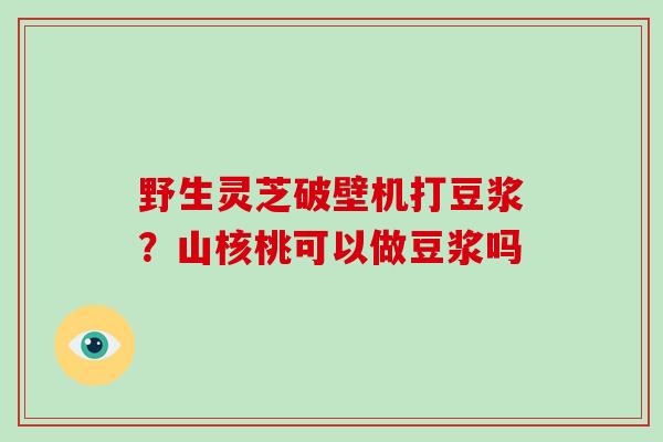 野生灵芝破壁机打豆浆？山核桃可以做豆浆吗