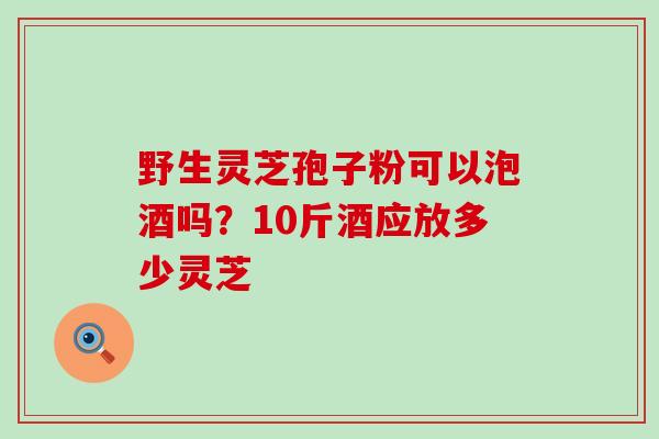 野生灵芝孢子粉可以泡酒吗？10斤酒应放多少灵芝