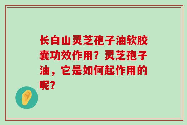 长白山灵芝孢子油软胶囊功效作用？灵芝孢子油，它是如何起作用的呢？