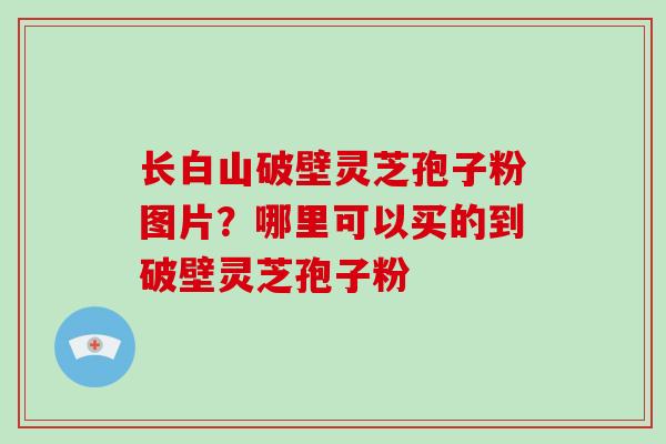 长白山破壁灵芝孢子粉图片？哪里可以买的到破壁灵芝孢子粉