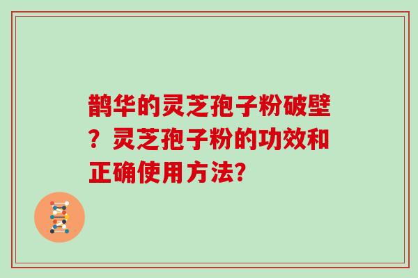 鹊华的灵芝孢子粉破壁？灵芝孢子粉的功效和正确使用方法？