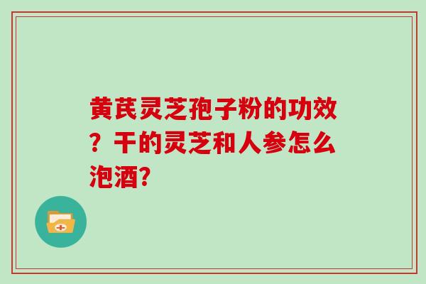 黄芪灵芝孢子粉的功效？干的灵芝和人参怎么泡酒？