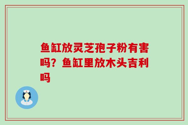 鱼缸放灵芝孢子粉有害吗？鱼缸里放木头吉利吗