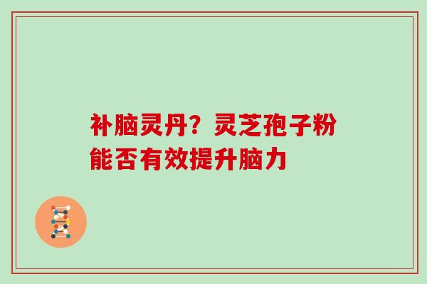 补脑灵丹？灵芝孢子粉能否有效提升脑力