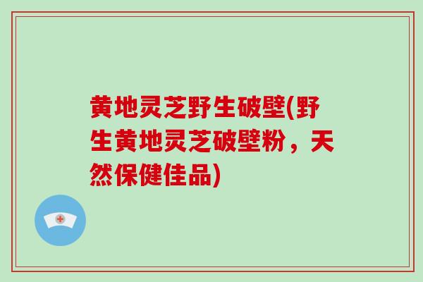 黄地灵芝野生破壁(野生黄地灵芝破壁粉，天然保健佳品)