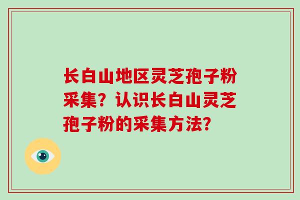 长白山地区灵芝孢子粉采集？认识长白山灵芝孢子粉的采集方法？