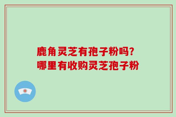 鹿角灵芝有孢子粉吗？哪里有收购灵芝孢子粉