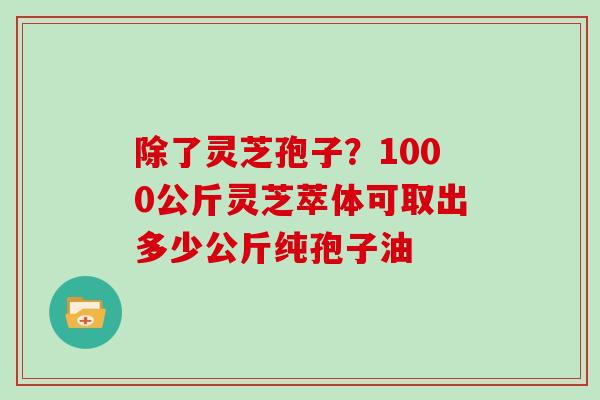 除了灵芝孢子？1000公斤灵芝萃体可取出多少公斤纯孢子油