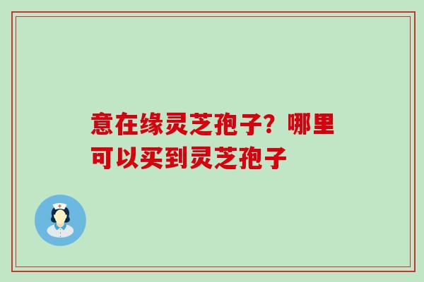 意在缘灵芝孢子？哪里可以买到灵芝孢子