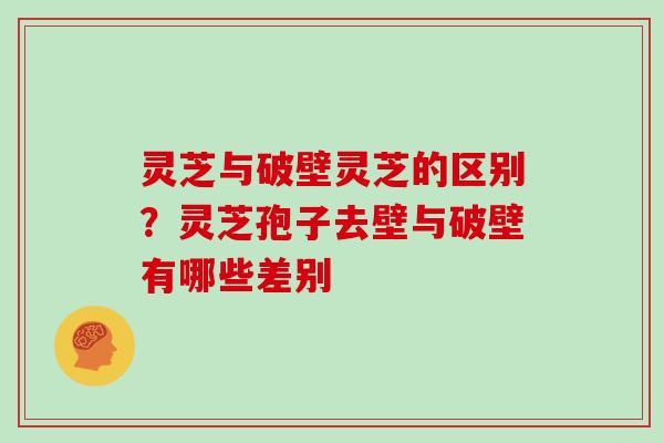 灵芝与破壁灵芝的区别？灵芝孢子去壁与破壁有哪些差别