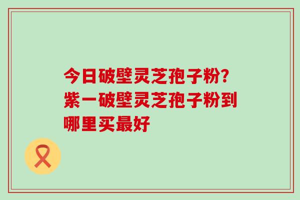 今日破壁灵芝孢子粉？紫一破壁灵芝孢子粉到哪里买好