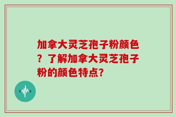 加拿大灵芝孢子粉颜色？了解加拿大灵芝孢子粉的颜色特点？