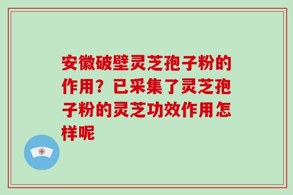 安徽破壁灵芝孢子粉的作用？已采集了灵芝孢子粉的灵芝功效作用怎样呢