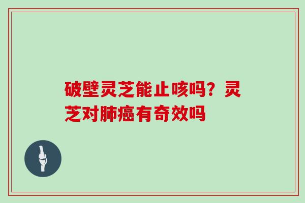 破壁灵芝能止咳吗？灵芝对有奇效吗