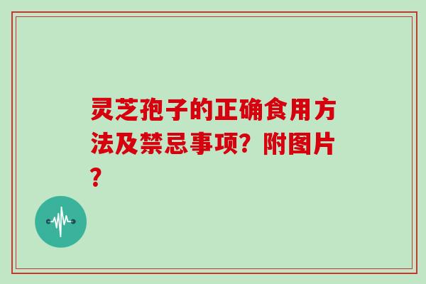 灵芝孢子的正确食用方法及禁忌事项？附图片？