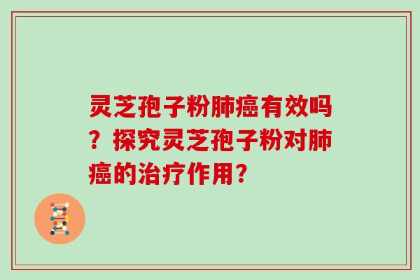 灵芝孢子粉有效吗？探究灵芝孢子粉对的作用？