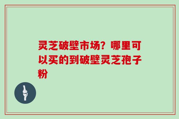 灵芝破壁市场？哪里可以买的到破壁灵芝孢子粉