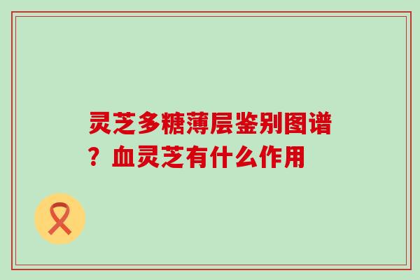 灵芝多糖薄层鉴别图谱？灵芝有什么作用