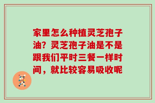 家里怎么种植灵芝孢子油？灵芝孢子油是不是跟我们平时三餐一样时间，就比较容易吸收呢