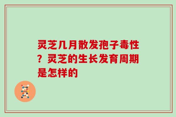 灵芝几月散发孢子毒性？灵芝的生长发育周期是怎样的