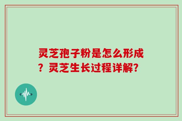 灵芝孢子粉是怎么形成？灵芝生长过程详解？