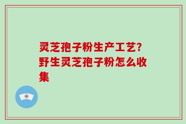 灵芝孢子粉生产工艺？野生灵芝孢子粉怎么收集