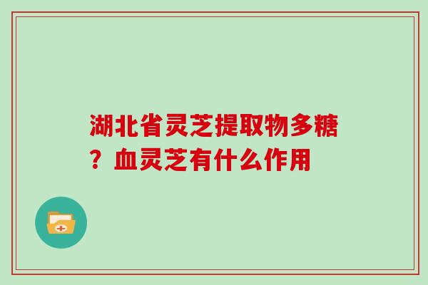 湖北省灵芝提取物多糖？灵芝有什么作用