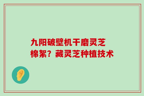 九阳破壁机干磨灵芝 棉絮？藏灵芝种植技术