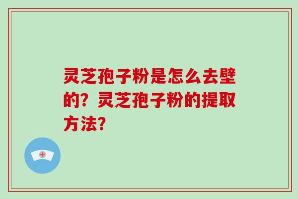 灵芝孢子粉是怎么去壁的？灵芝孢子粉的提取方法？