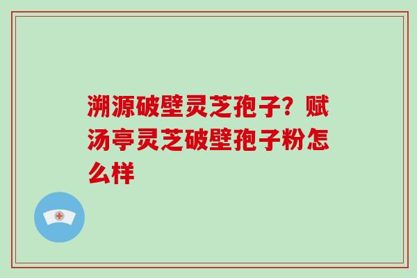 溯源破壁灵芝孢子？赋汤亭灵芝破壁孢子粉怎么样