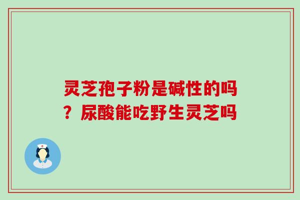 灵芝孢子粉是碱性的吗？尿酸能吃野生灵芝吗