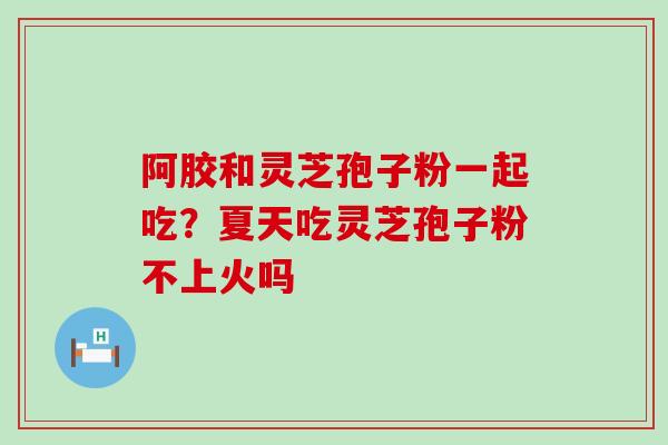 阿胶和灵芝孢子粉一起吃？夏天吃灵芝孢子粉不上火吗